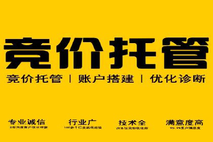 SEM专员案例深度解读